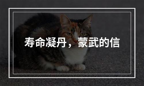 寿命凝丹，蒙武的信
