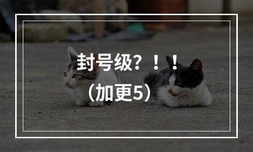 封号级？！！（加更5）