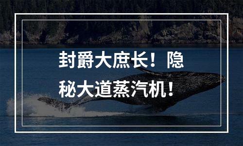 封爵大庶长！隐秘大道蒸汽机！