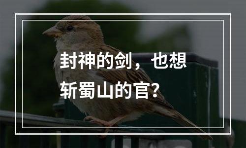 封神的剑，也想斩蜀山的官？
