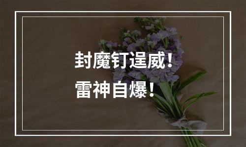 封魔钉逞威！雷神自爆！
