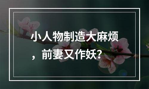 小人物制造大麻烦，前妻又作妖？