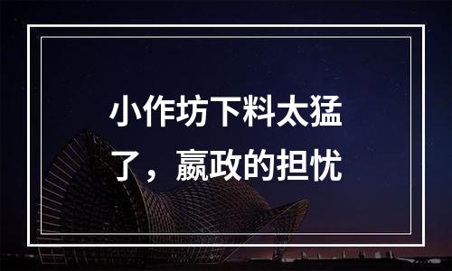 小作坊下料太猛了，嬴政的担忧