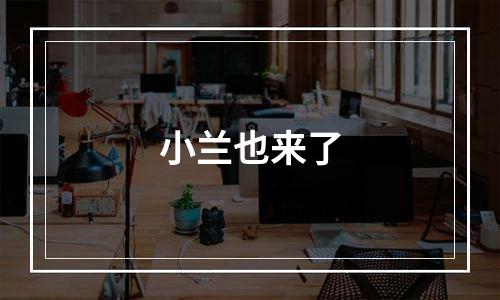 小兰也来了