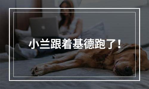 小兰跟着基德跑了！