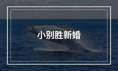 小别胜新婚
