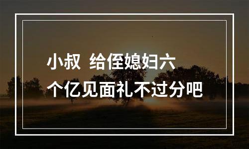小叔  给侄媳妇六个亿见面礼不过分吧