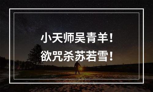 小天师吴青羊！欲咒杀苏若雪！