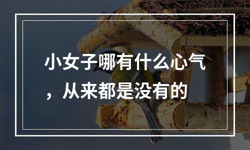 小女子哪有什么心气，从来都是没有的