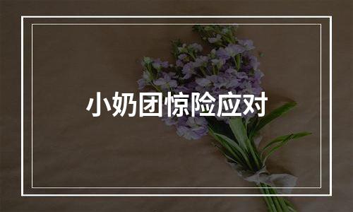小奶团惊险应对