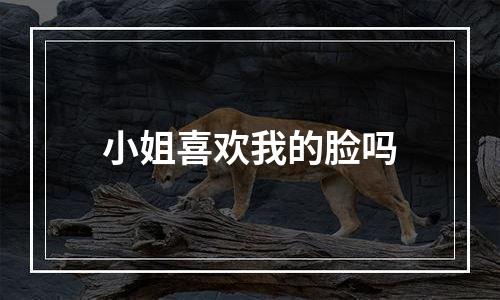 小姐喜欢我的脸吗