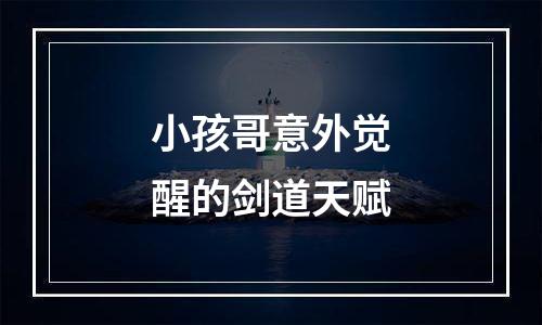 小孩哥意外觉醒的剑道天赋