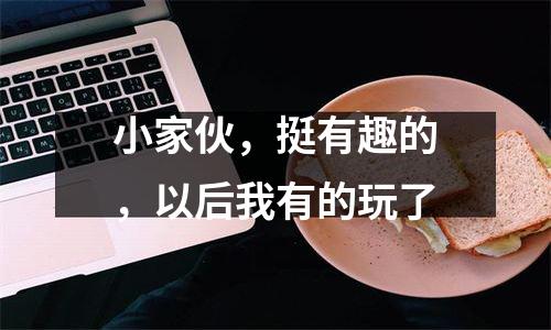 小家伙，挺有趣的，以后我有的玩了