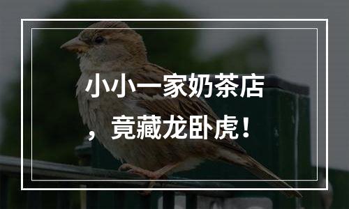 小小一家奶茶店，竟藏龙卧虎！