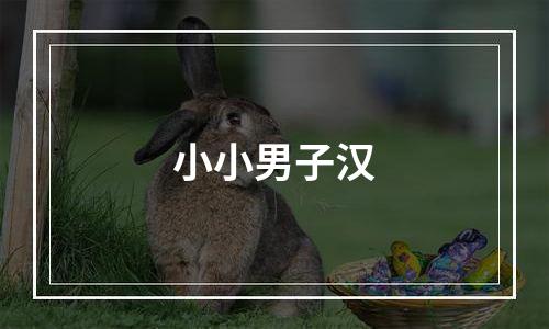 小小男子汉