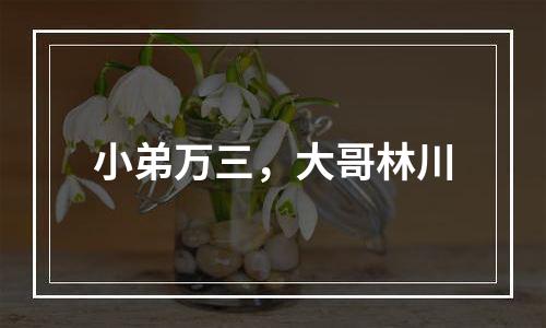 小弟万三，大哥林川
