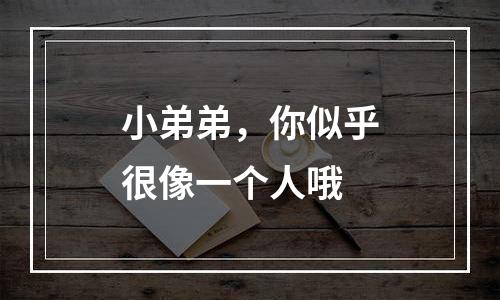 小弟弟，你似乎很像一个人哦