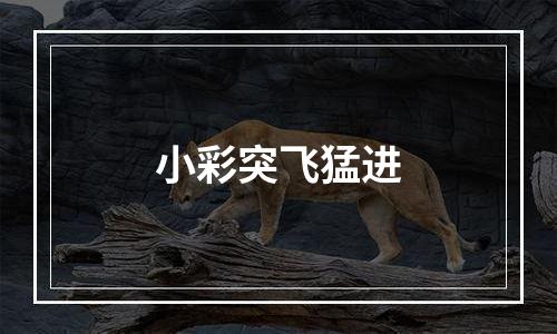 小彩突飞猛进