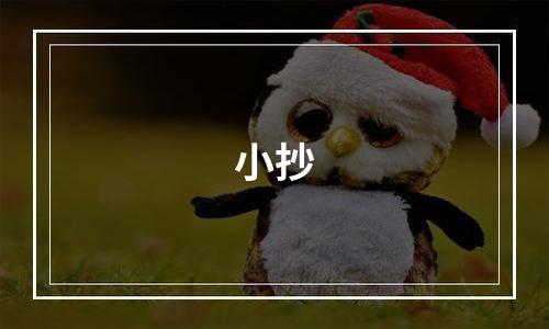小抄