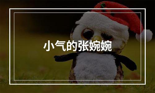 小气的张婉婉