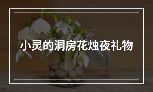 小灵的洞房花烛夜礼物
