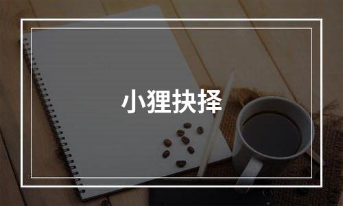 小狸抉择