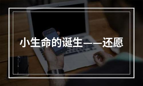 小生命的诞生——还愿