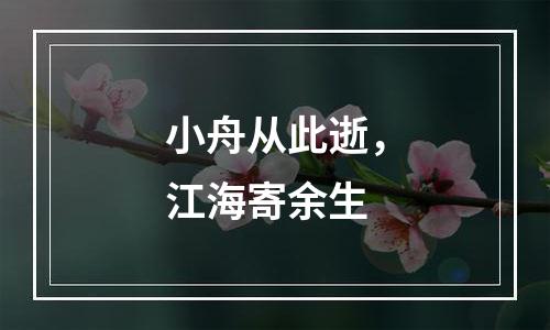 小舟从此逝，江海寄余生