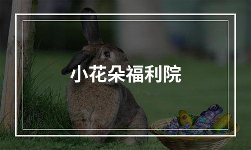 小花朵福利院