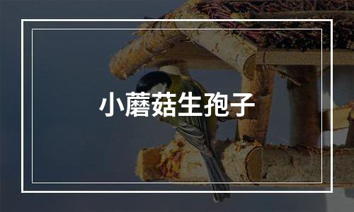 小蘑菇生孢子