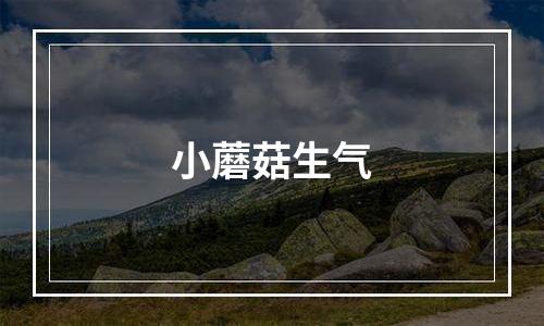 小蘑菇生气