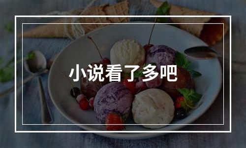 小说看了多吧
