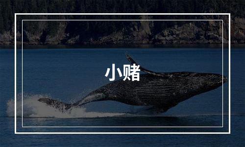 小赌
