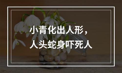 小青化出人形，人头蛇身吓死人