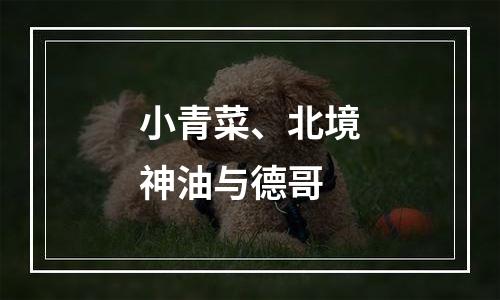小青菜、北境神油与德哥