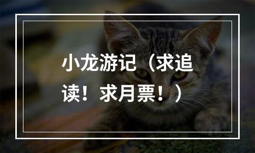 小龙游记（求追读！求月票！）
