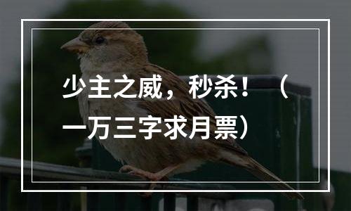 少主之威，秒杀！（一万三字求月票）