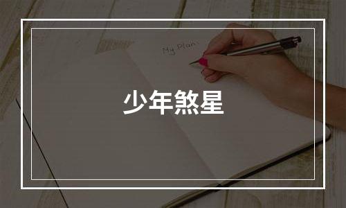 少年煞星
