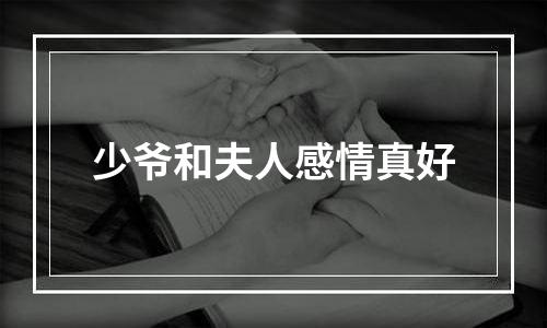 少爷和夫人感情真好