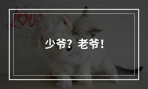 少爷？老爷！