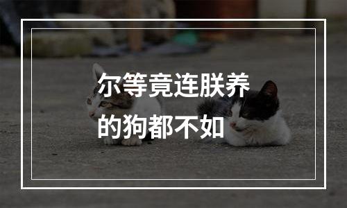 尔等竟连朕养的狗都不如
