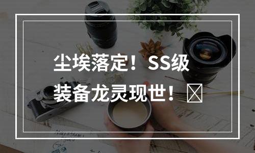 尘埃落定！SS级装备龙灵现世！​