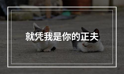 就凭我是你的正夫
