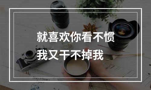 就喜欢你看不惯我又干不掉我