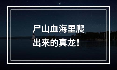 尸山血海里爬出来的真龙！