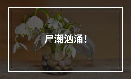 尸潮汹涌！
