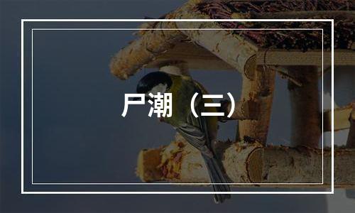 尸潮（三）