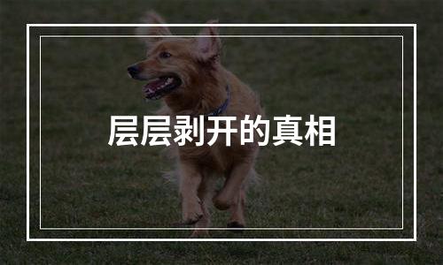层层剥开的真相