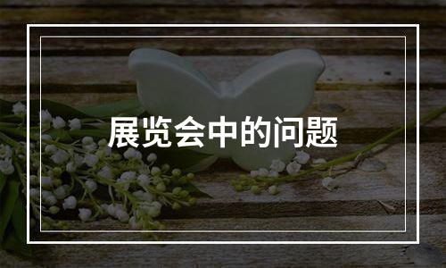 展览会中的问题