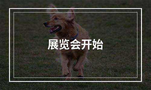 展览会开始